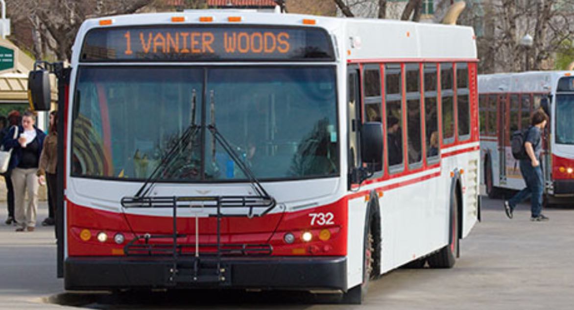 red deer transit